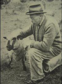 Portrait of Nils Mollerberg