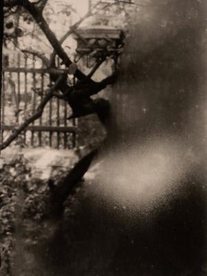 View From My Window by Josef Sudek - Auction record, sale price, and art valuation. Compare with similar artists and explore comparable artworks.