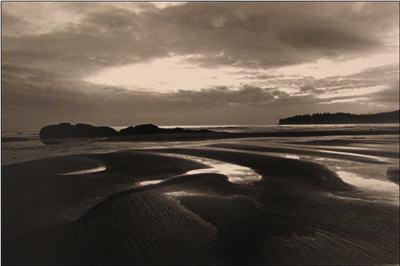 Mary Randlett - artist photo