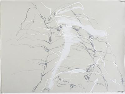 Lynne Riding - artist photo