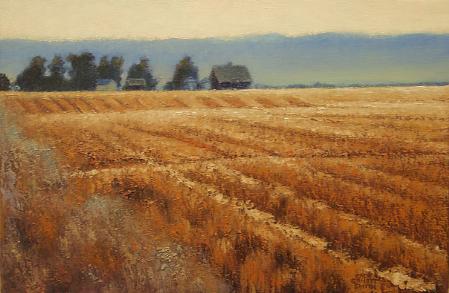 Morning Wheat Field