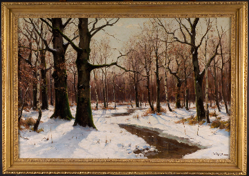 Winter Afternoon