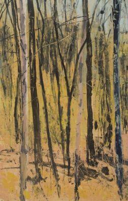 Landscape 87-239