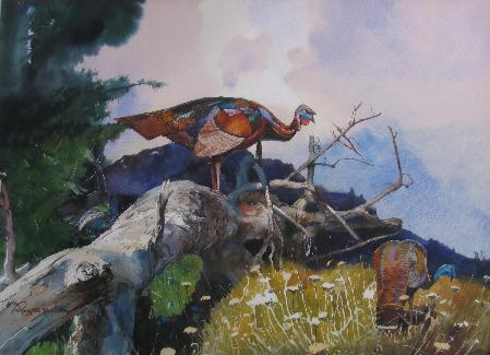 Wild Turkeys
