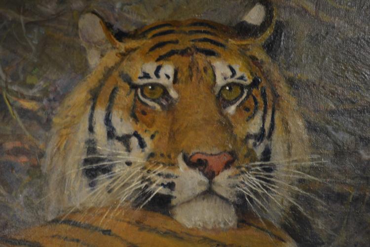 Tigre de l-apos;Annam - Image 4 of 4