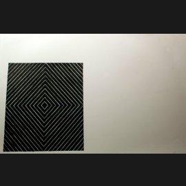 Frank Stella biographical photo