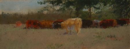 Texas Longhorns c. 1890-1900 - Image 1 of 2