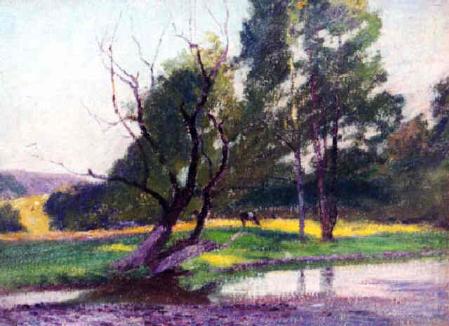 Trees by Pool