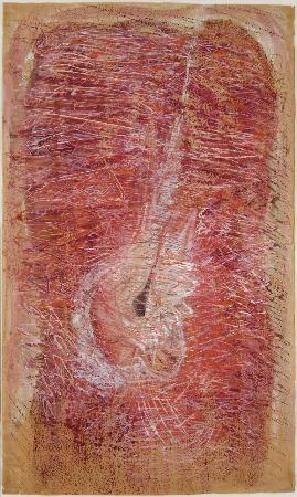 Fig in Red Moonlight