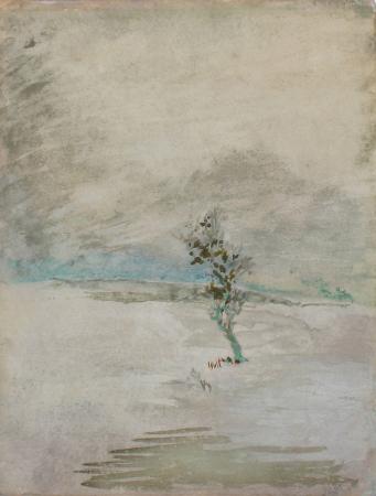 Study of Snow