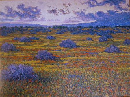 ANTELOPE VALLEY AT SUNSET