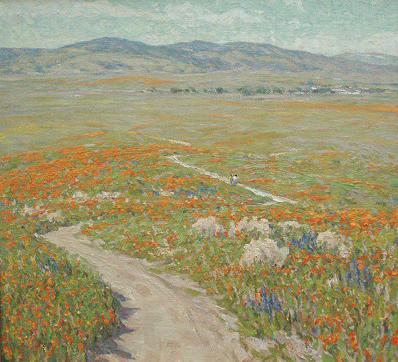 BACK ROAD TO THE POPPY FIELD