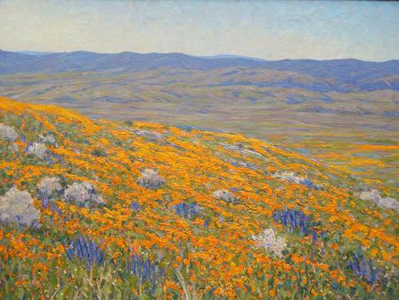 ANTELOPE VALLEY POPPY RESERVE