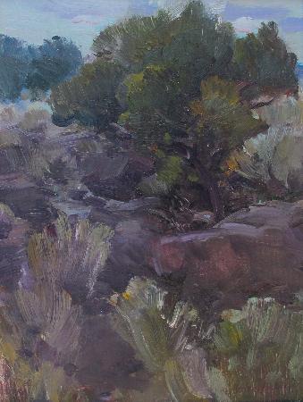 Desert Sage