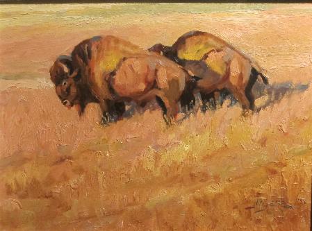 Two Bulls