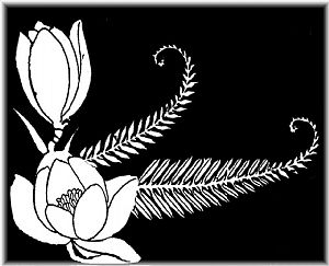 Douglas Frazer Fine Art, Ltd. logo - David Howard Hitchcock collector seeking artwork in Medina, WA