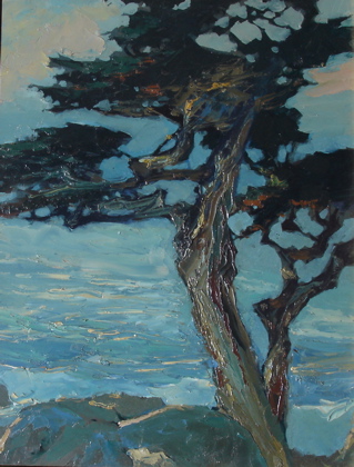 Coastal Cypress