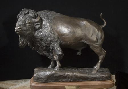 Herd Bull