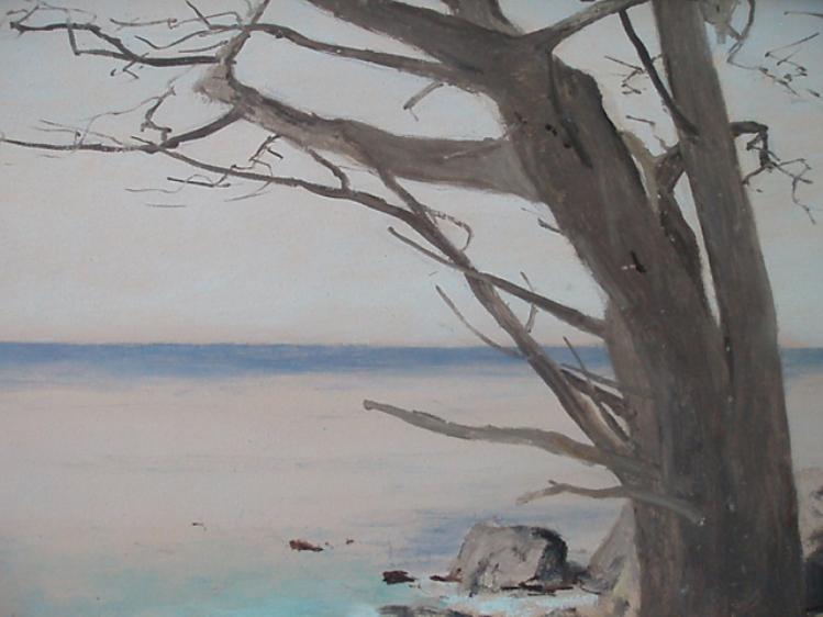 Windswept Tree, Monterey - Image 2 of 4