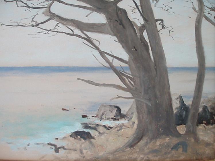 Windswept Tree, Monterey - Image 3 of 4