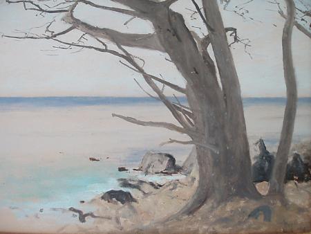 Windswept Tree, Monterey - Image 1 of 4