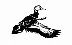 Russell Fink Gallery  logo