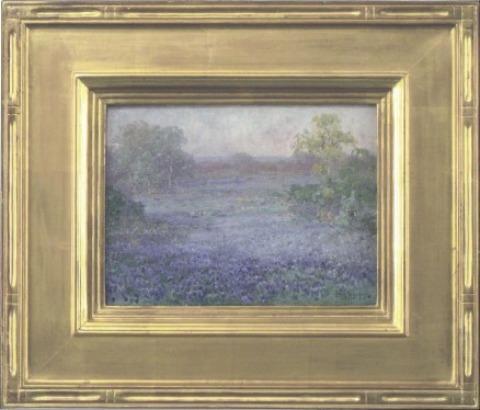 Bluebonnets, San Antonio, Texas