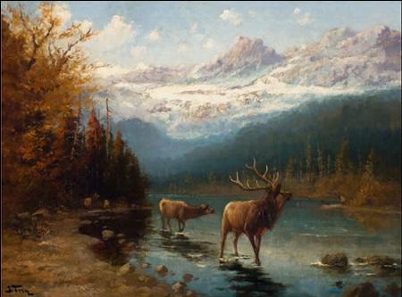 Glacier Elk