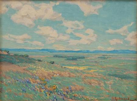 Poppy Field - California