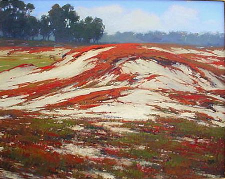 "Morning Iceplant"