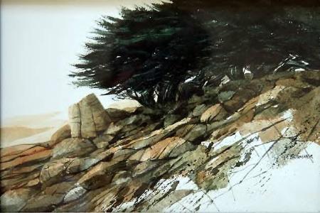 "Carmel Cypress Grove" - Image 1 of 3