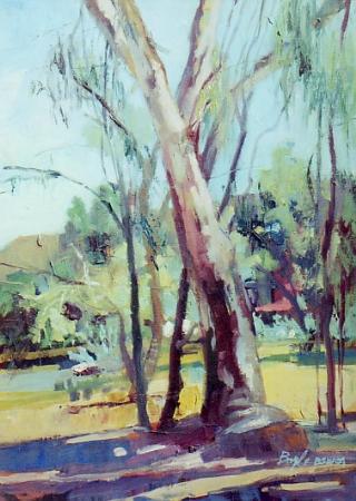 "Peter Strauss Ranch"