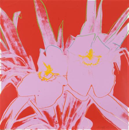 Orchid A140.107
