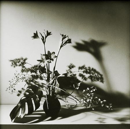 Robert Mapplethorpe biographical photo