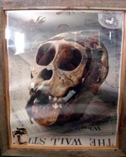Peter Hill Beard biographical photo