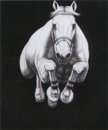 #17