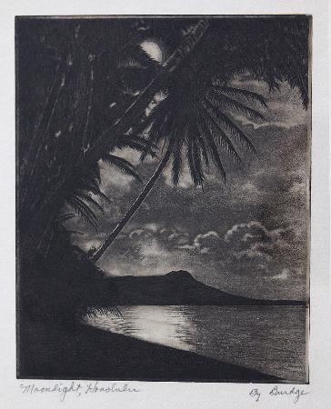 Moonlight Honolulu