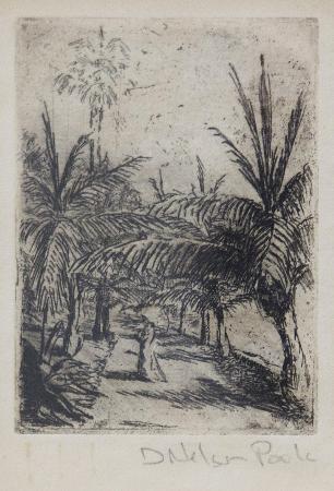 Palms