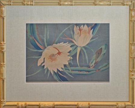 Night-Blooming Cereus