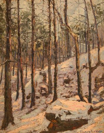 Winter Landscape