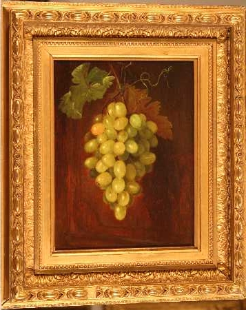 Still Life of Grapes