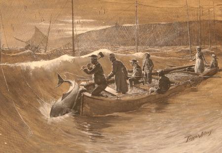 Illustration