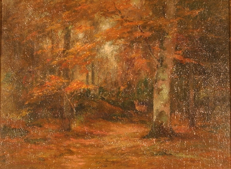 Fall Landscape