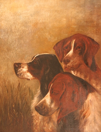 Hunting Dogs