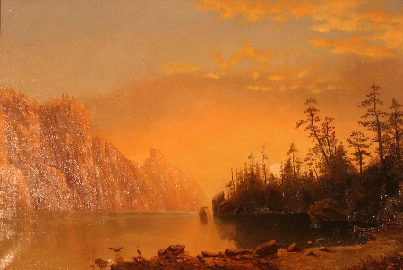 California Landscape