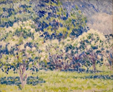 Grove of Trees 