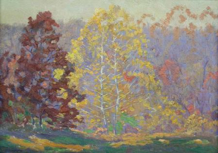 "Sunlight and Sycamore, Ozark Mountains"