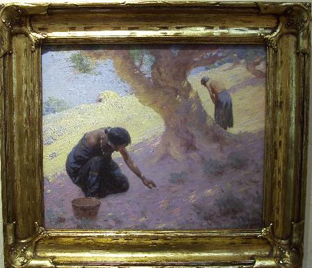 Picking Pinon Nuts