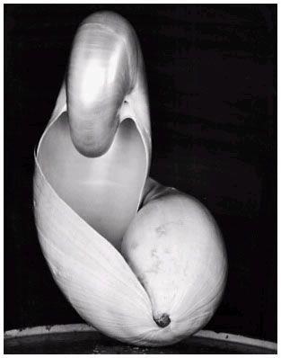 Shell, 1927