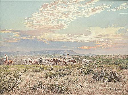 Longhorn Drive